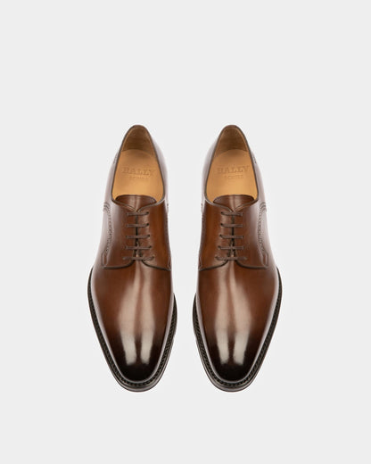 Scamardo Leather Derby Shoes In Brown