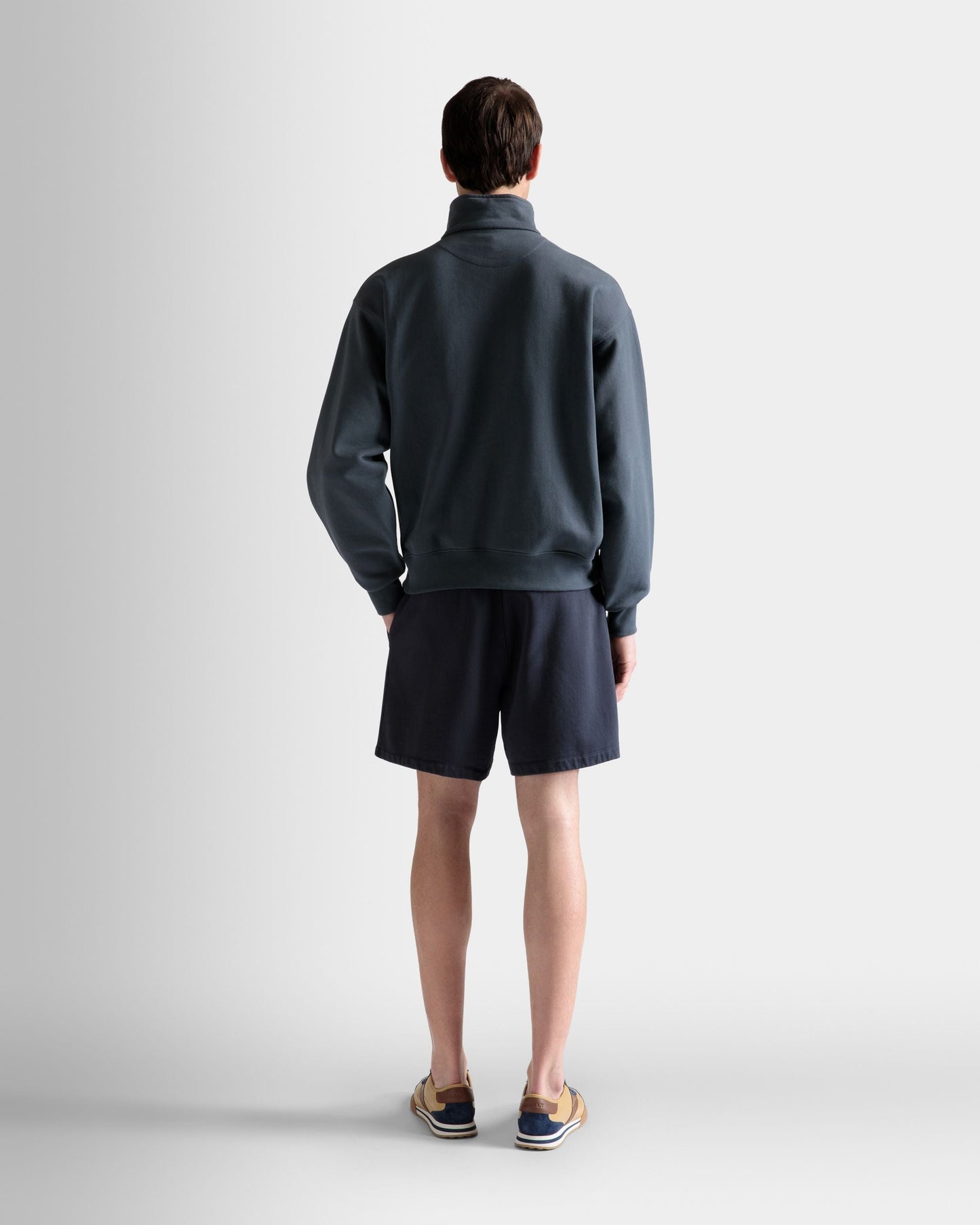 Train Print Half-Zipper Sweatshirt In Stone Cotton