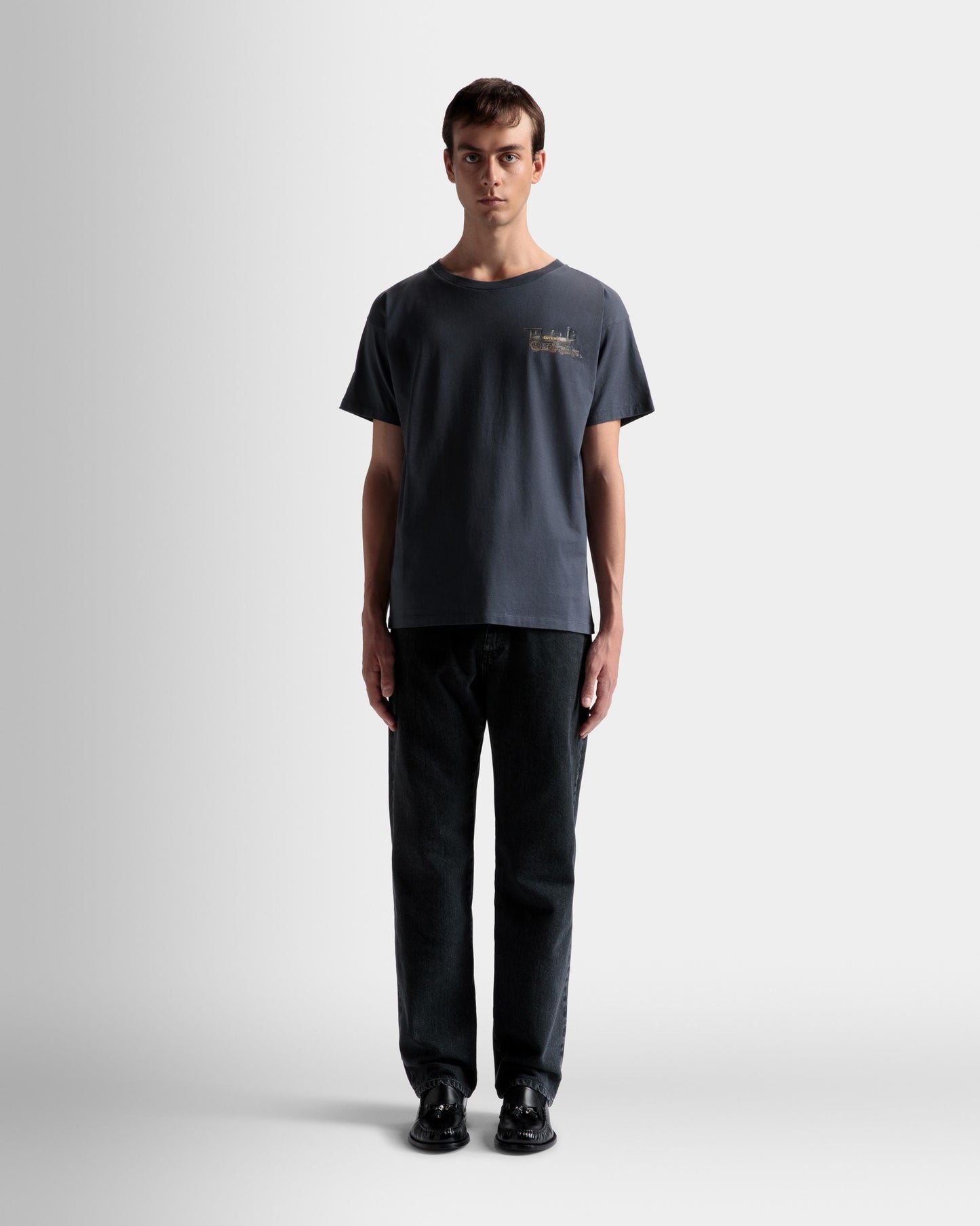 Train Motif T-Shirt In Stone Cotton