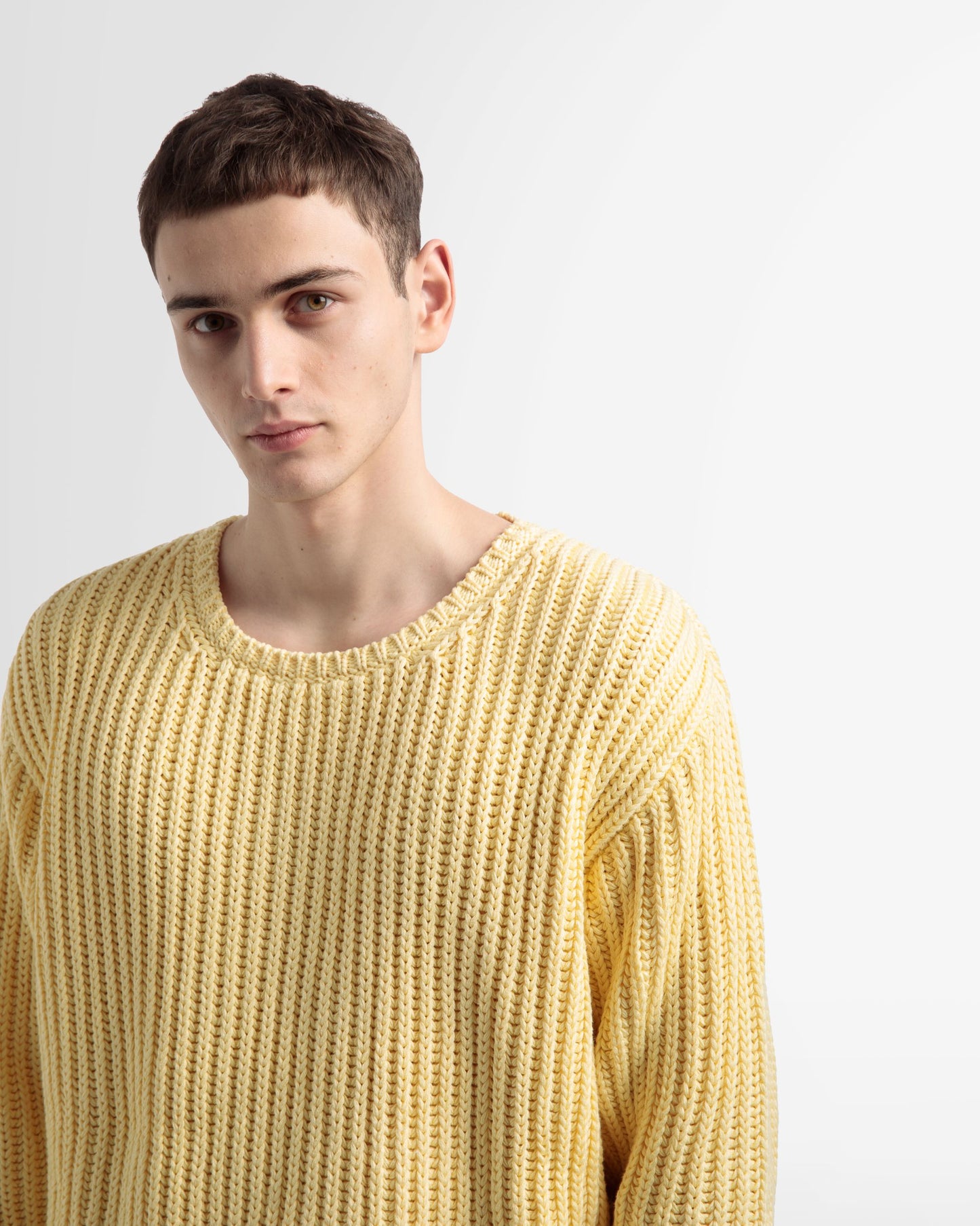 Cotton Knitted Crew Neck In Yellow