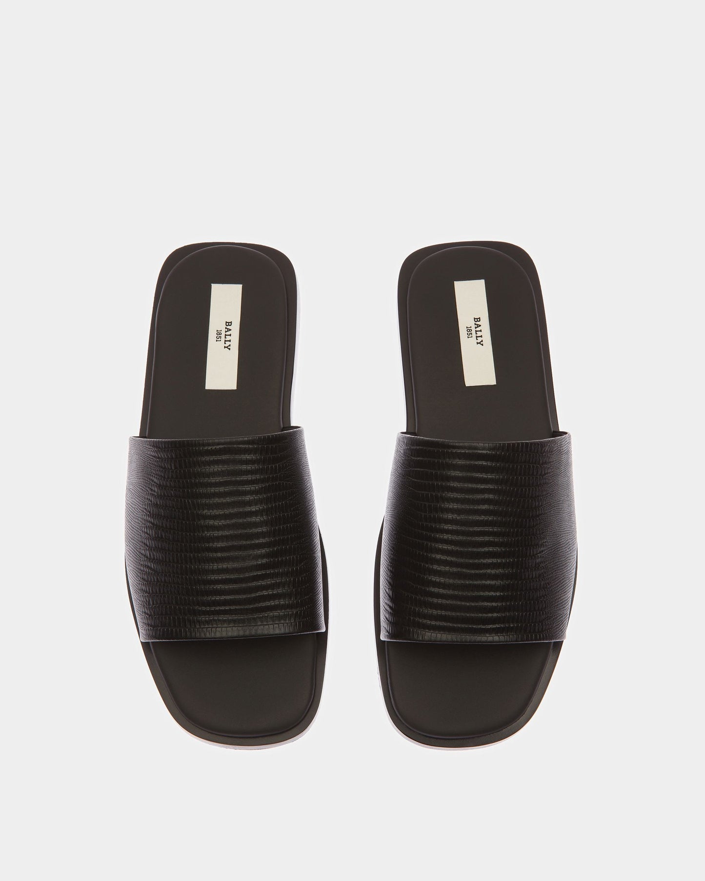 Sabian Leather Sandals In Black