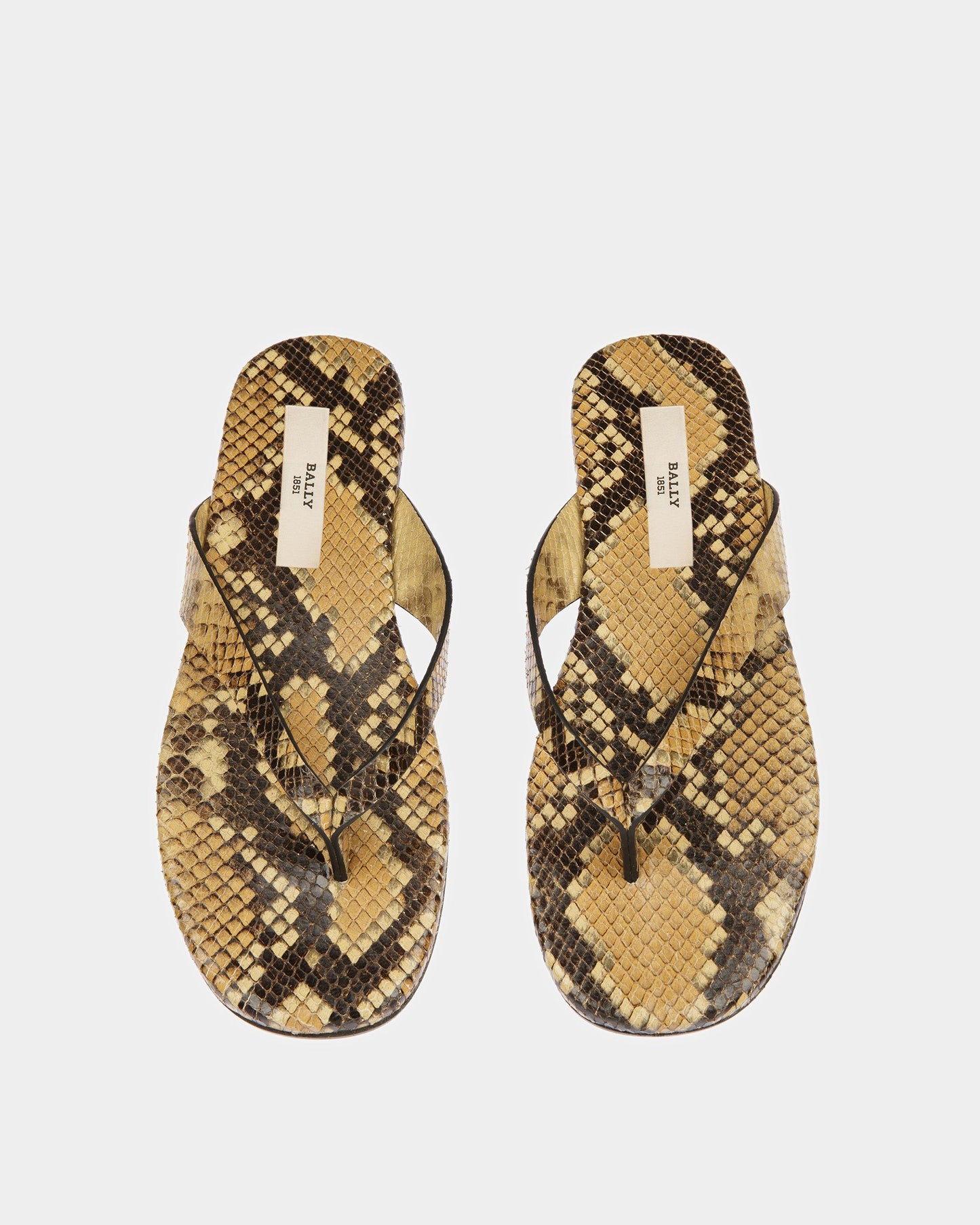 San Fernando Thong Sandals In Python Print