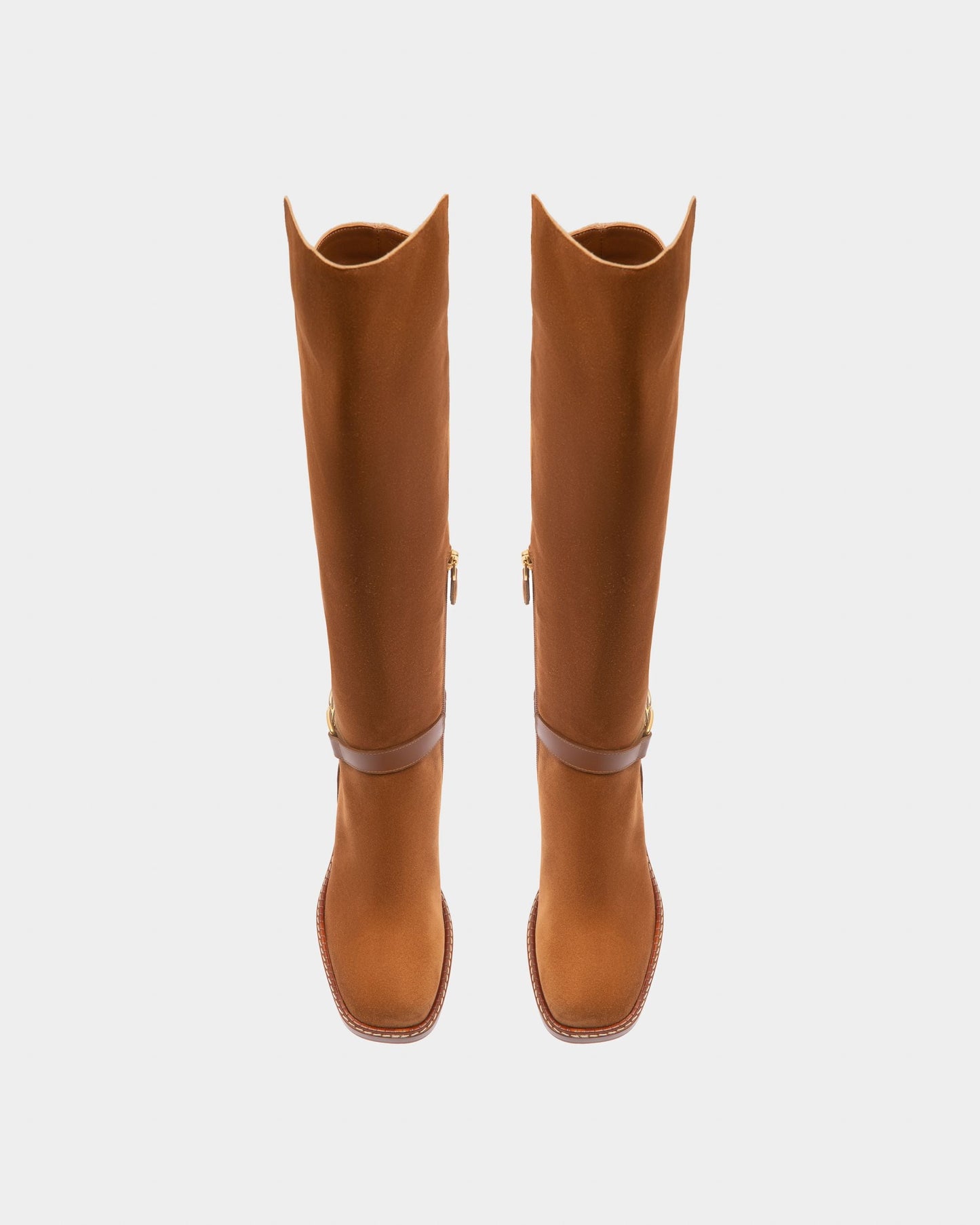Eloire Leather Long Boots In Brown