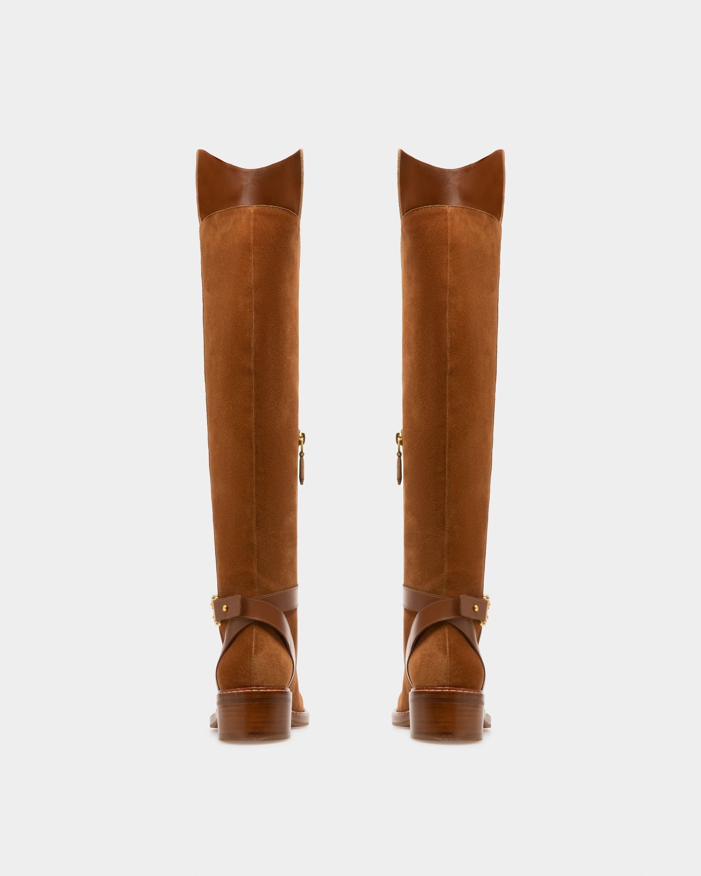 Eloire Leather Long Boots In Brown